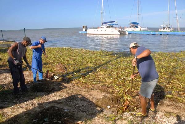 Recuperación de Cienfuegos 01