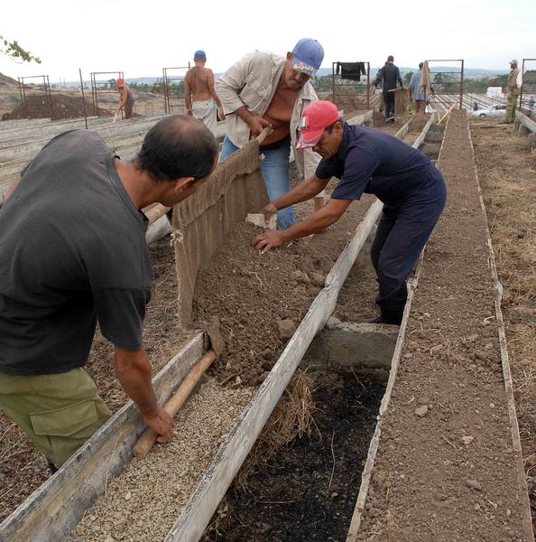 Unidad Básica de Producción Cooperativa (UBPC) ?La República 06