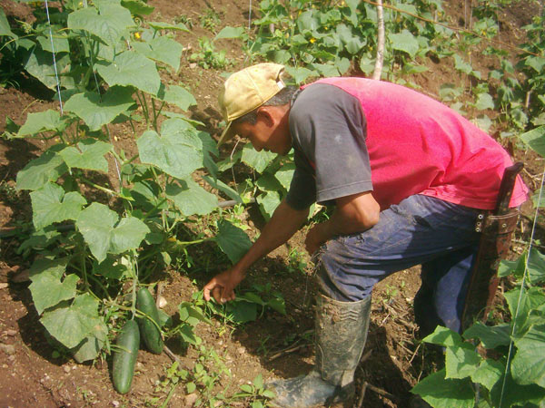 Día del Campesino 02