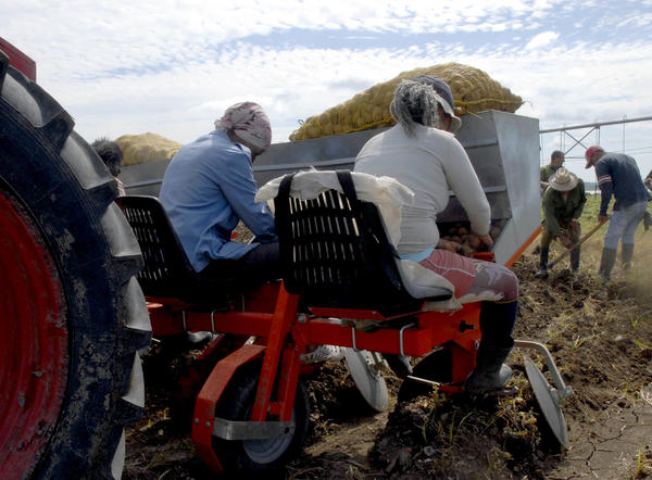 Día del Campesino - Tecnificación de la producción