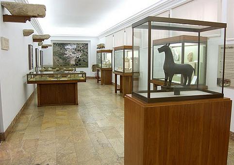 Museo Antropológico Montané