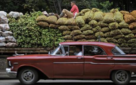 seguro agropecuario y automotor en Cuba