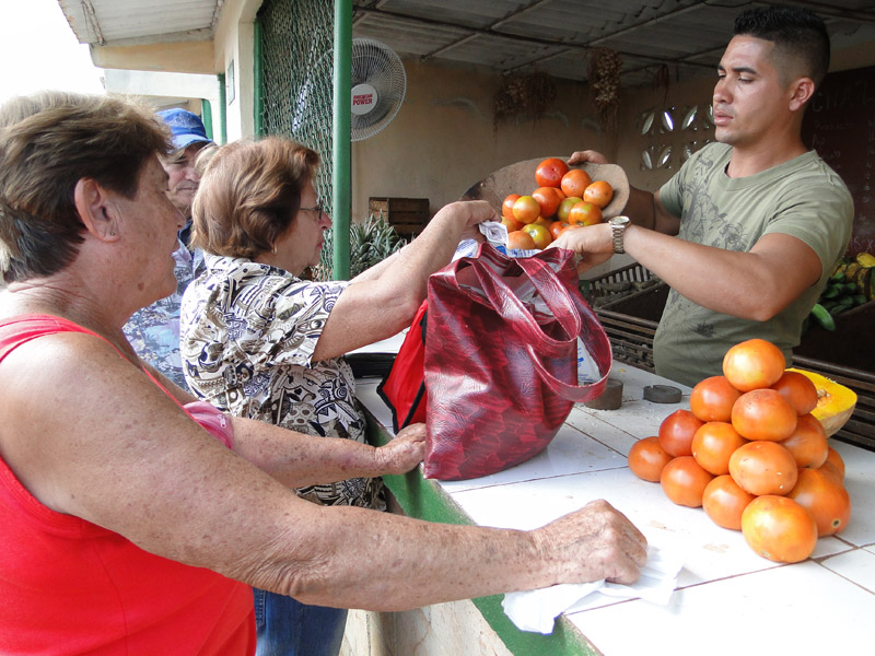 Cooperativas no agropecuarias-Artemisa