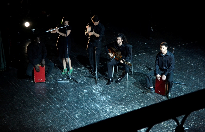 Compañía Irene Rodríguez 08