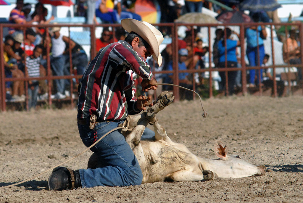 Rodeo en Granma