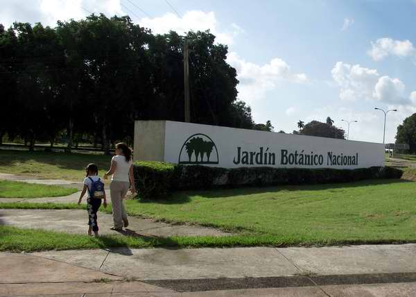 Jardín Botánico Nacional, Cuba