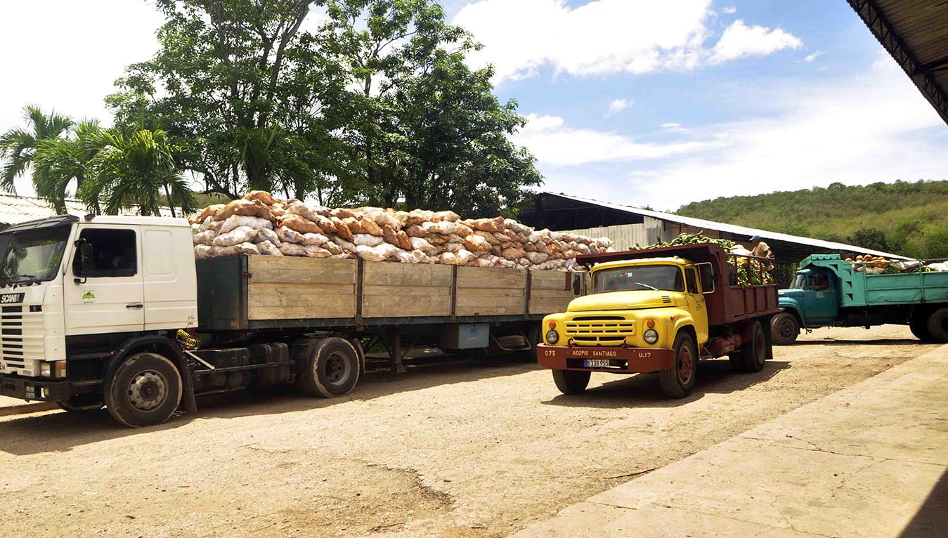 Cuba se prepara para Irma