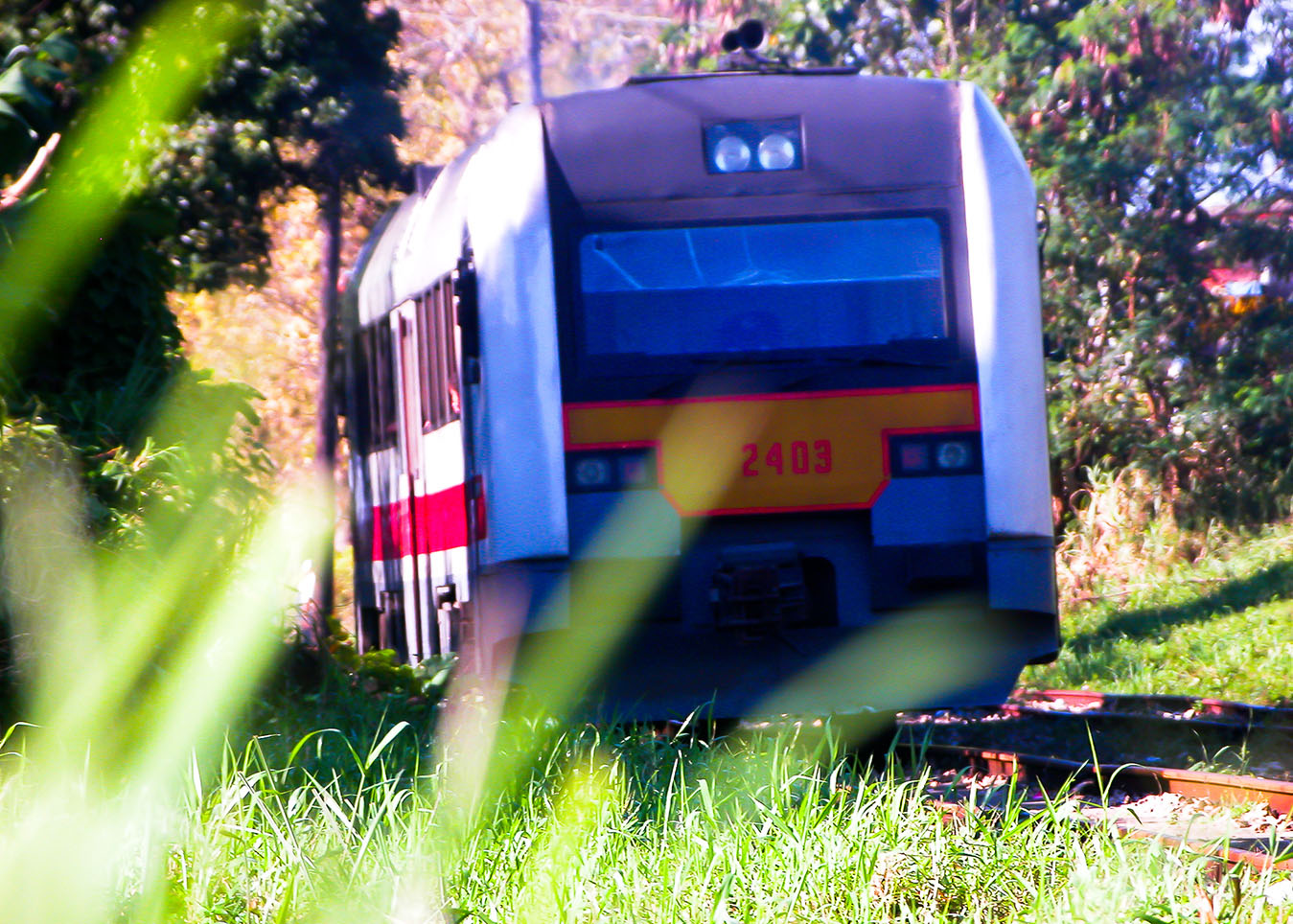 Viajar en tren es una forma de descubrir a toda Cuba, pues atraviesa regiones de gran belleza paisajística.