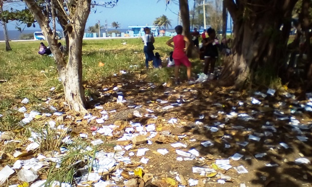 Bosque-suciedad-Feria de la Habana