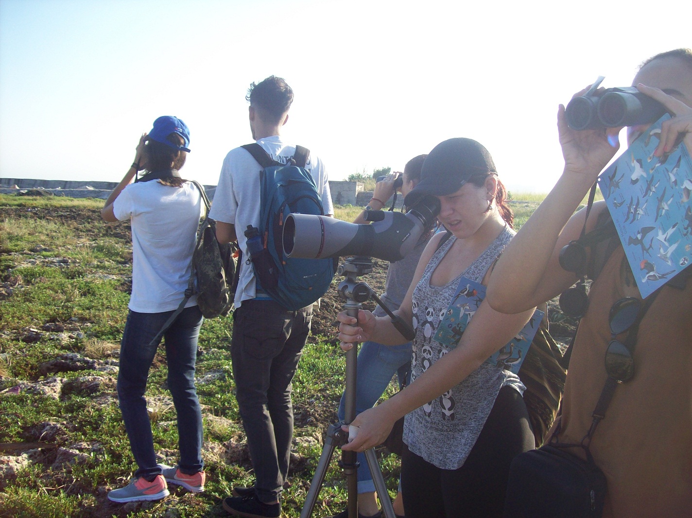 Observación de aves en Cuba