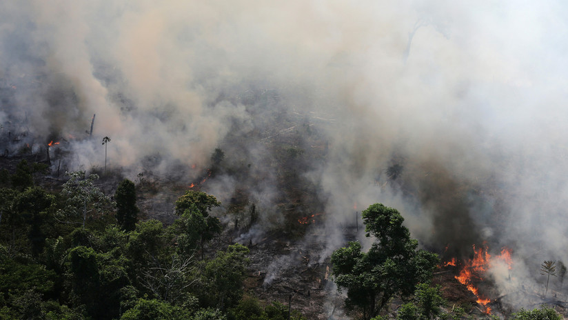 AMAZONIA EN LLAMAS