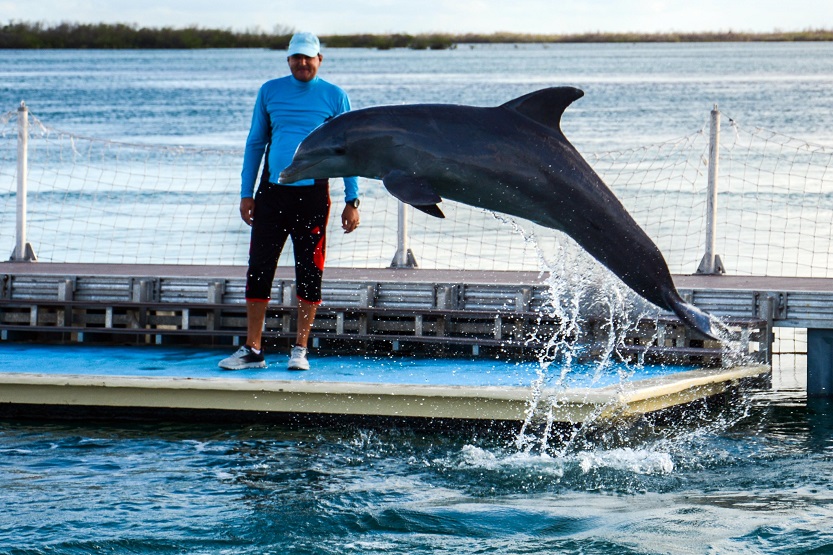 Acuario-Delfinario de Cayo Coco