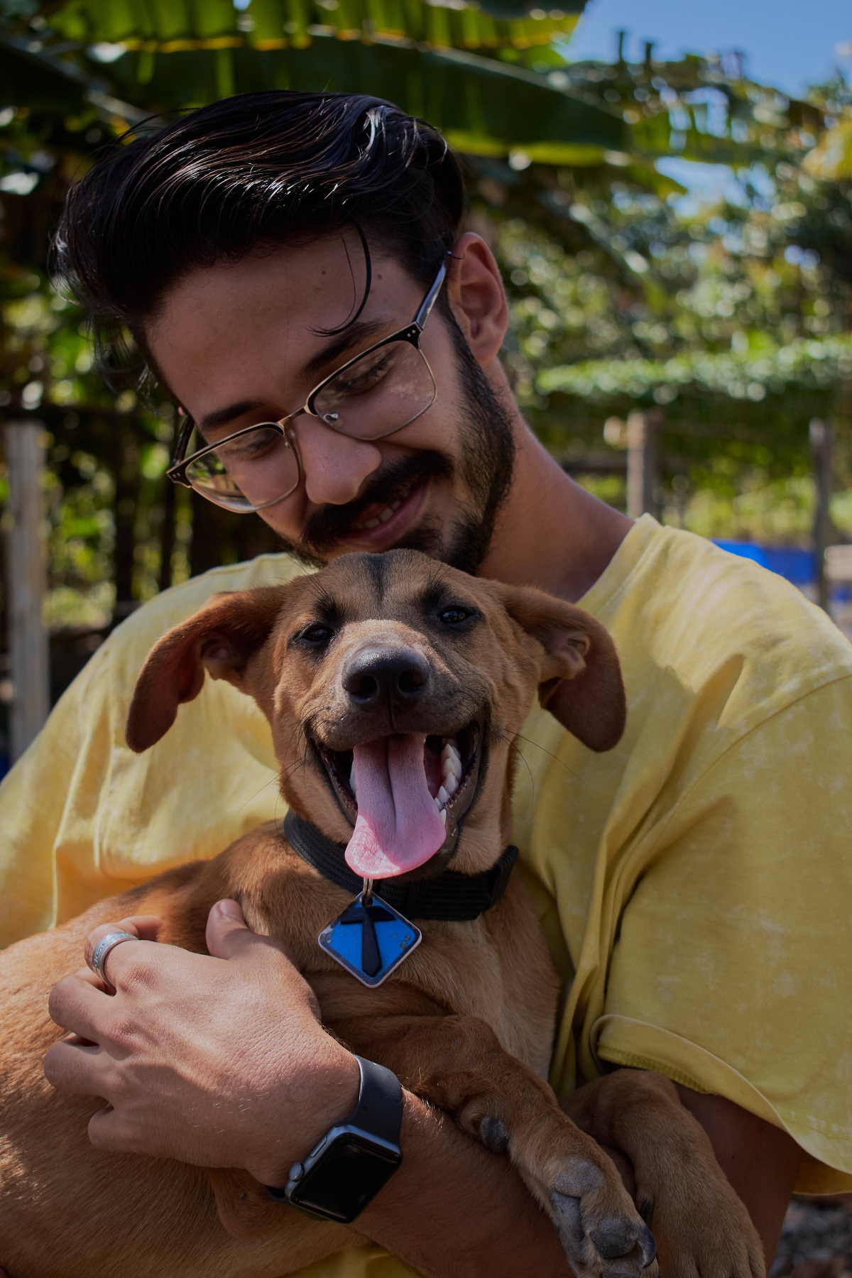 Contar con regulaciones que protegen el derecho de los animales significa un importante paso hacia la búsqueda de sanidad animal, el bienestar humano y la sostenibilidad del medio ambiente.