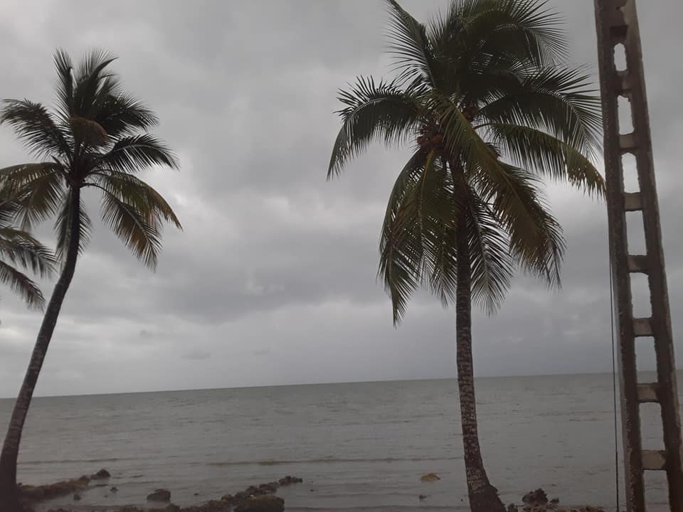 TT Elsa_Las Tunas_Periódico 26