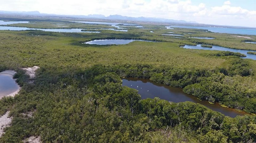 Cambio climático-Manglares