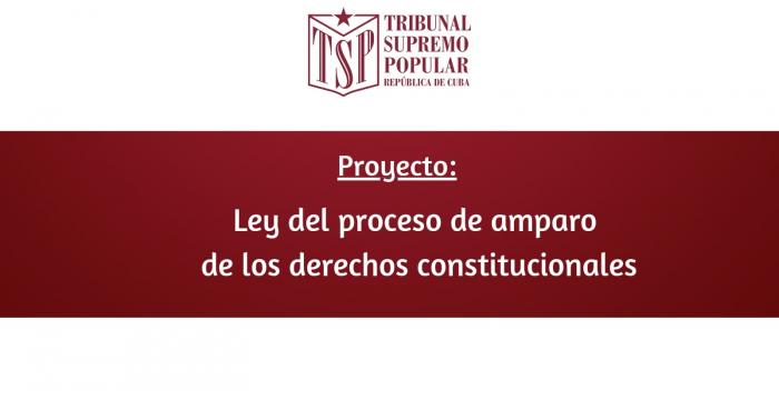 Ley del proceso de amparao de los derechos constitucionales