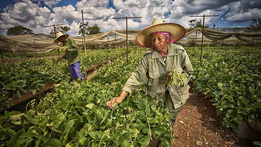 erradicacion de la pobreza en Cuba