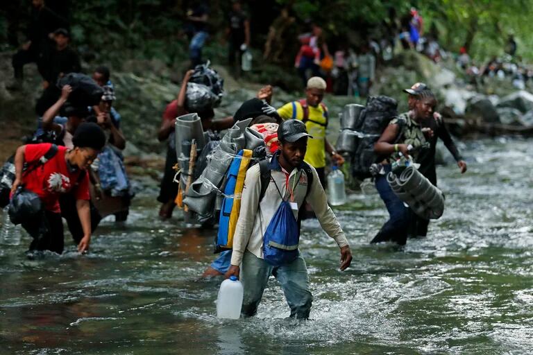 en los primeros 10 meses de este año medio millón de personas se adentró en el Darién, una jungla tan inhóspita que la carretera Panamericana. (Mauricio Dueñas Castañeda/EFE) 