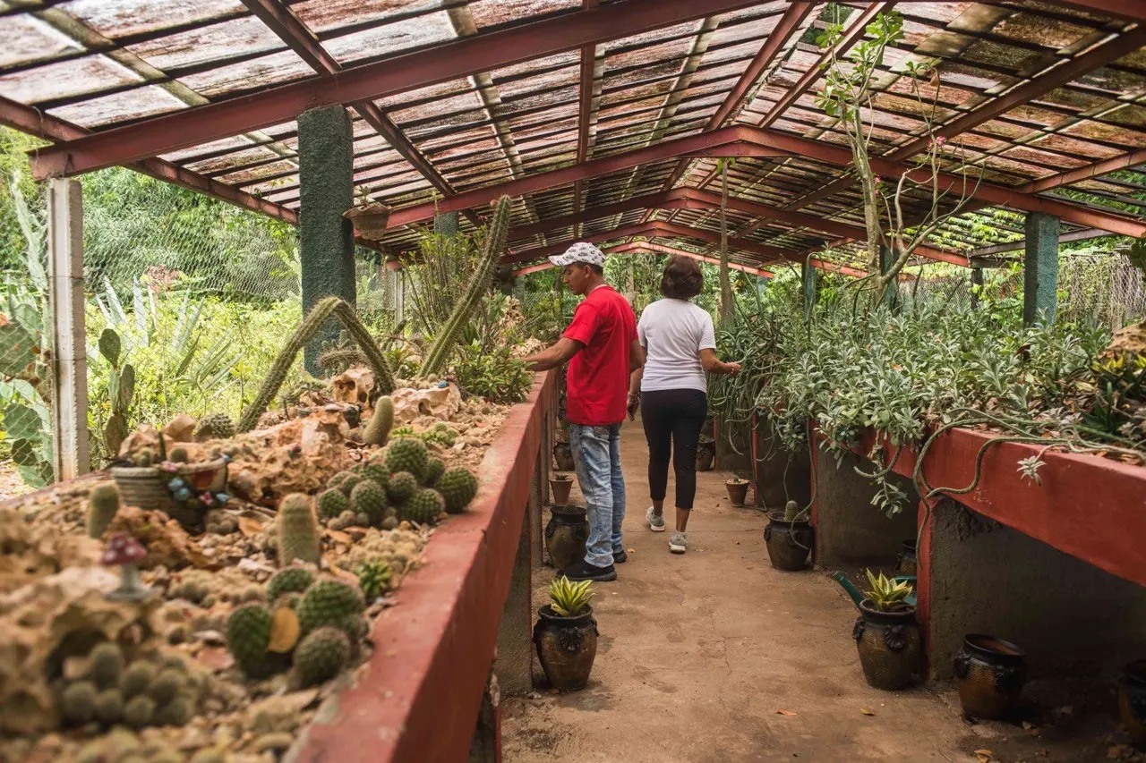 JARDÍN BOTÁNICO CUPAYNICÚ