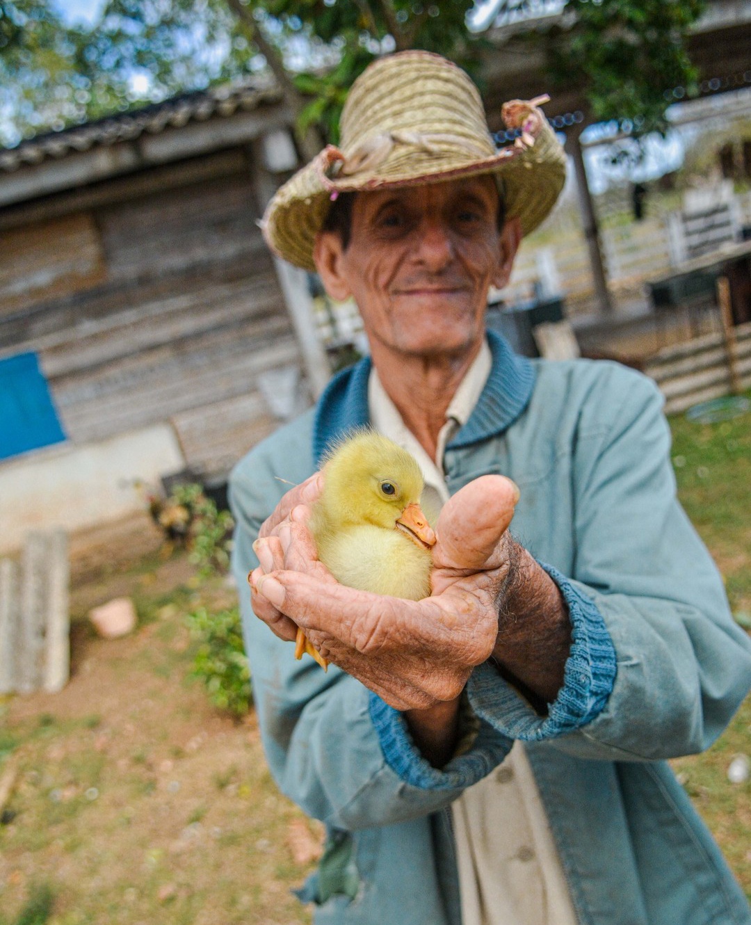 Campesino 