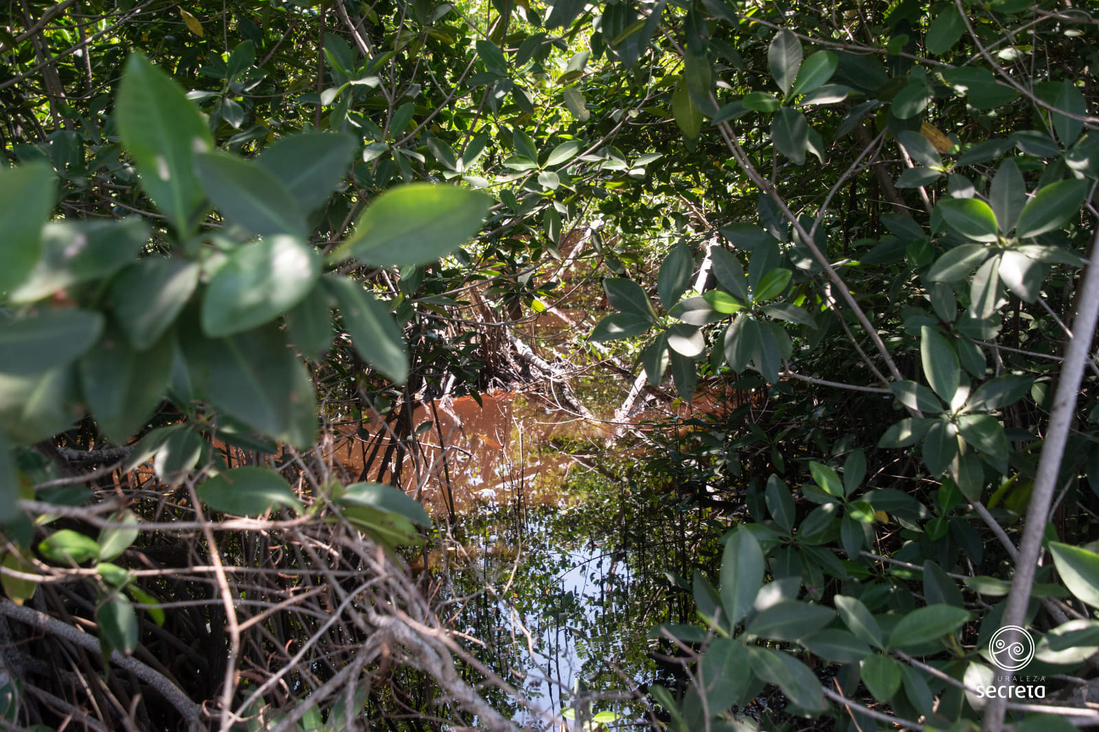 RINCÓN DE GUANABO