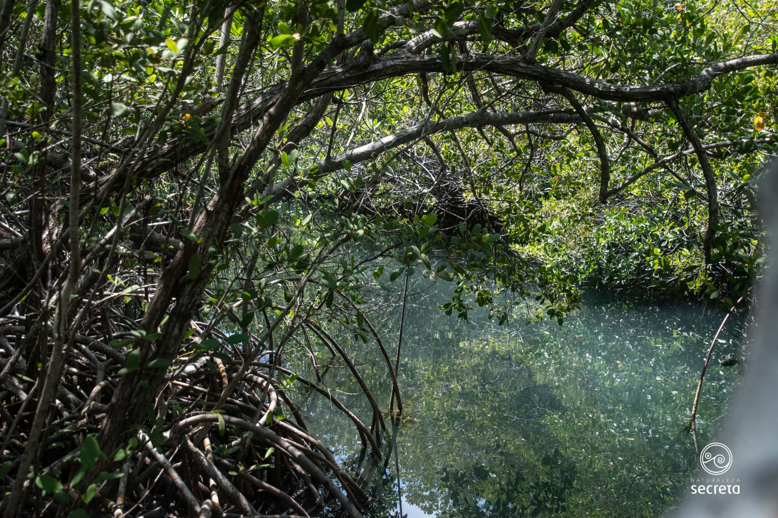 RINCÓN DE GUANABO