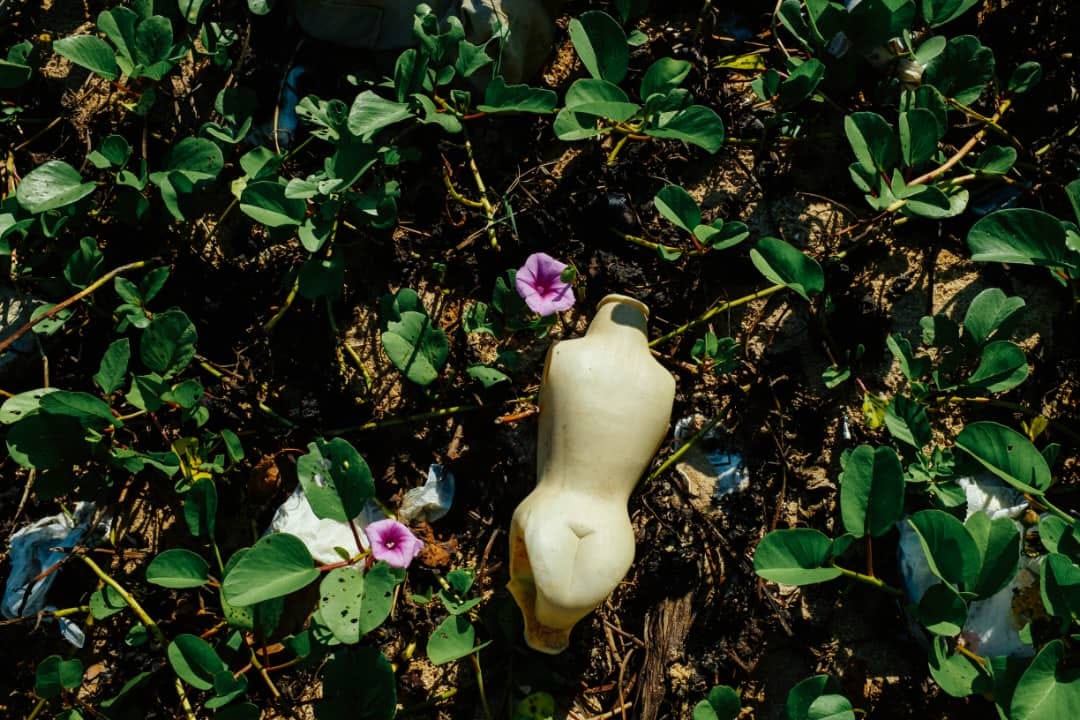 Jornada de limpieza costera (David Estrada Rodríguez/Naturaleza Secreta de Cuba)