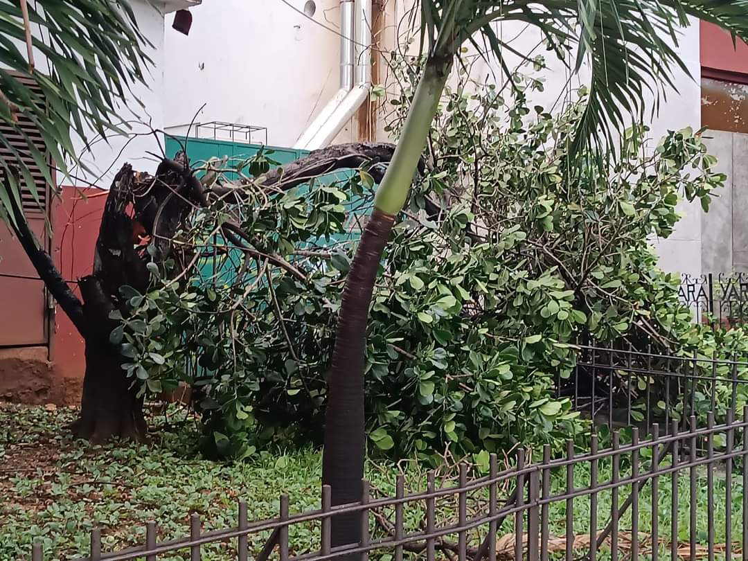 En el entorno del edificio de la radio y la televisión. (Redes sociales)