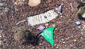 Los feminismos y transfeminismos como motor de la lucha para despertar el género humano 