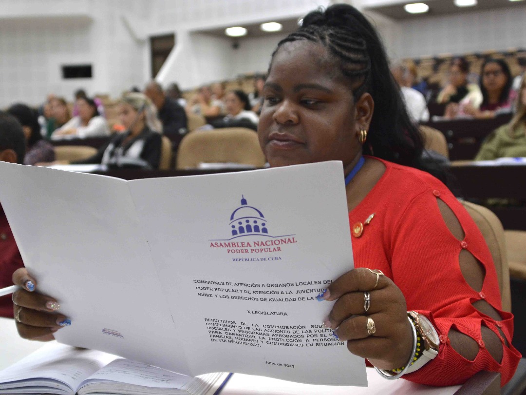 Continuidad de las comisiones a la Asamblea