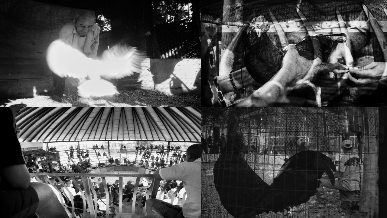  Historias que inspiran: los matanceros del Witness Photoworkshop 2025 