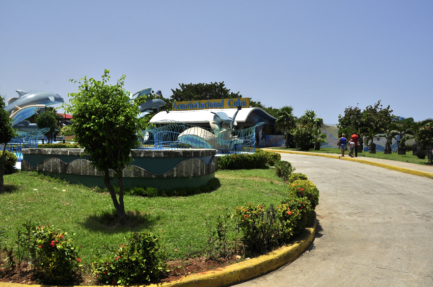 Acuario Nacional de Cuba. Foto: Roberto Garaicoa Martínez/ Cubahora