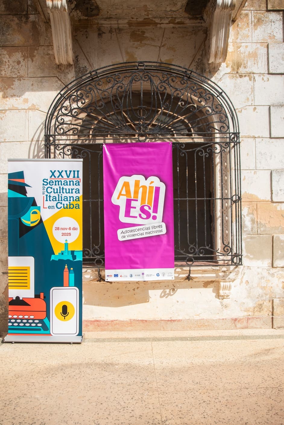 Proyectos de desarrollo local y emprendimientos 