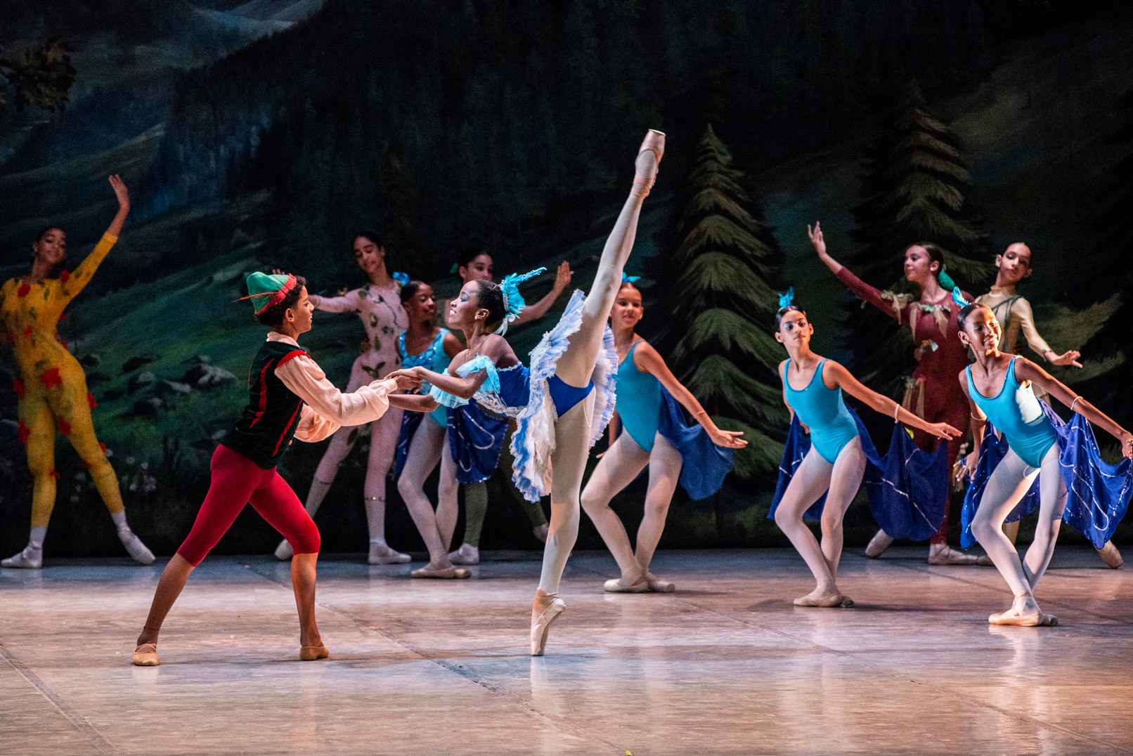 Escuela Nacional de Ballet Fernando Alonso