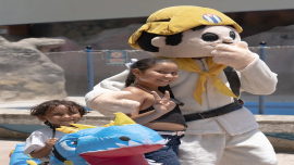 Festival Pa Cuba en el Acuario Nacional