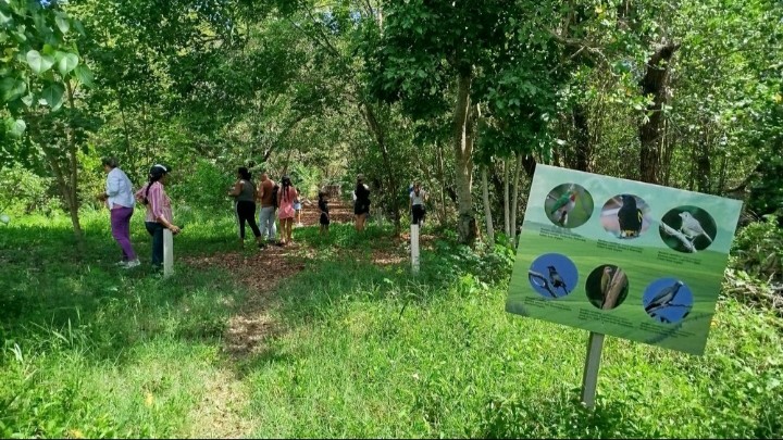 Talleres de verano para soñar Talleres de verano para soñar